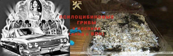 ешки Горнозаводск