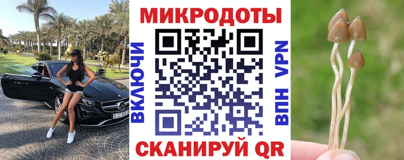Галлюциногенные грибы Magic Shrooms  Купить закладки  Похвистнево 