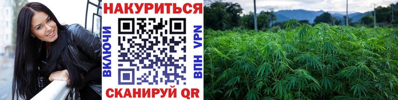 Купить Похвистнево Конопля SATIVA & INDICA
